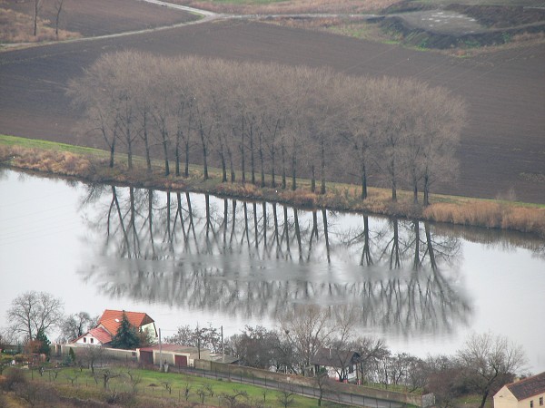 ESK STEDOHO - RADOBL 398 M